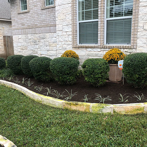Austin Lawn Care Image