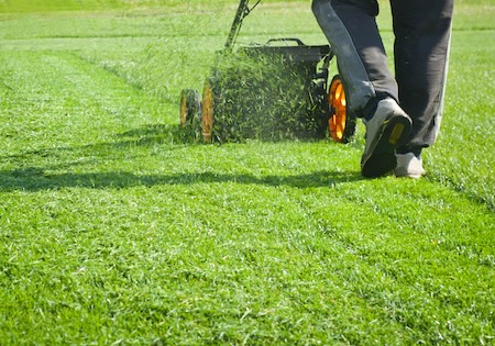 When to Start Mowing Your Lawn in Austin, TX Thumbnail