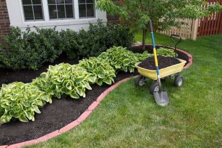 Why Mulching Is Essential To Your Lawn’s Health And Beauty Thumbnail