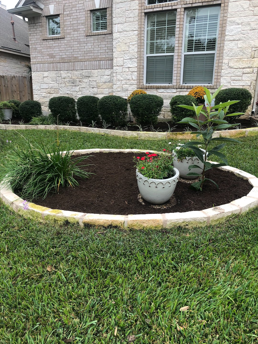 Transform Your Garden: The Benefits of Mulching for Healthy Soil and Vibrant Plants Thumbnail