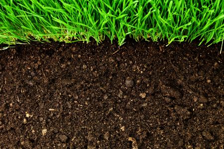 Top Soil Installation